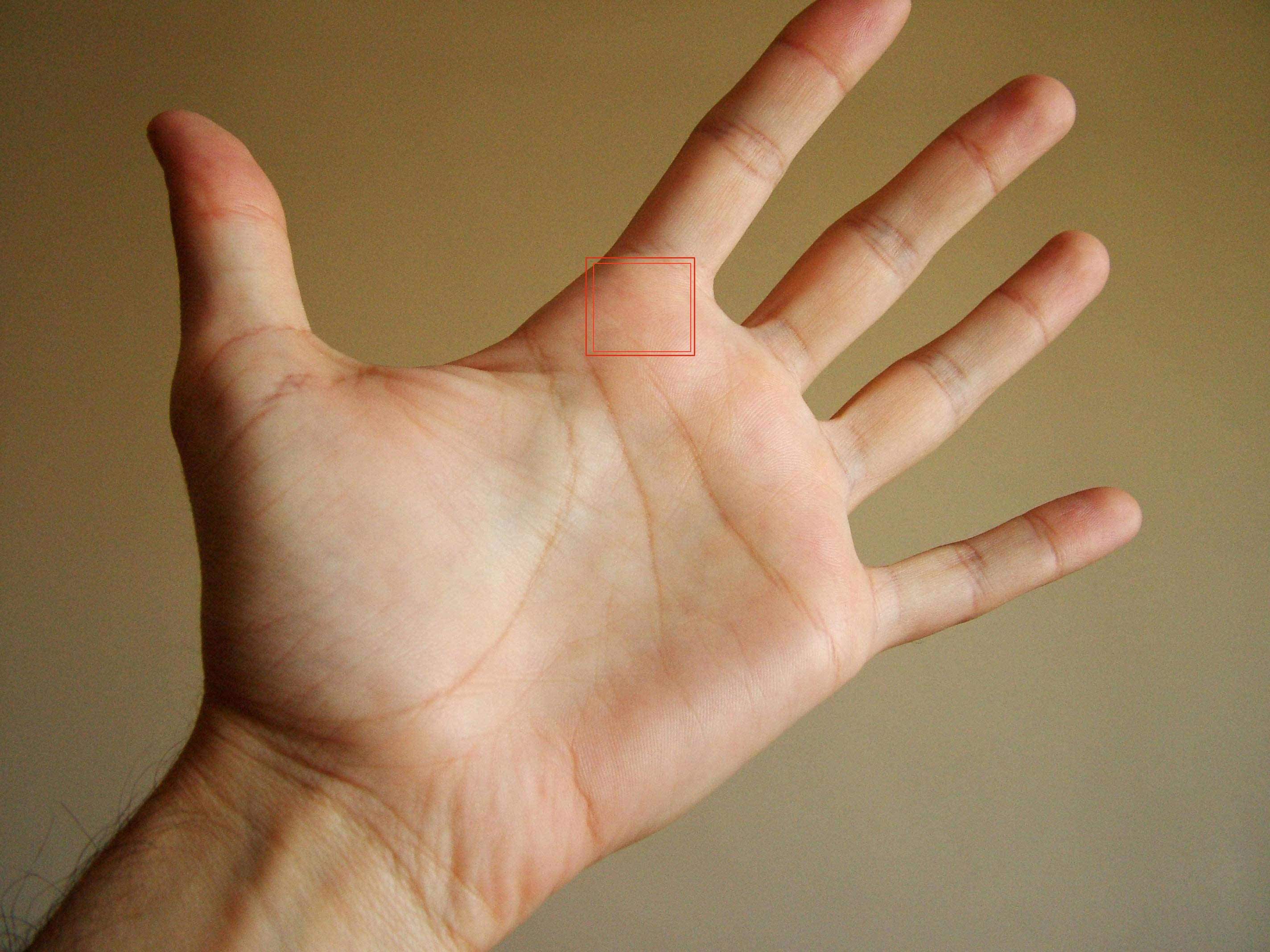 Palmistry people who have Vishnu Rekha in their hands are considered very lucky person