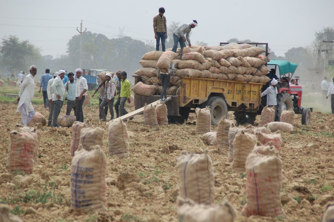 BJP potato digger arrived, villagers firing