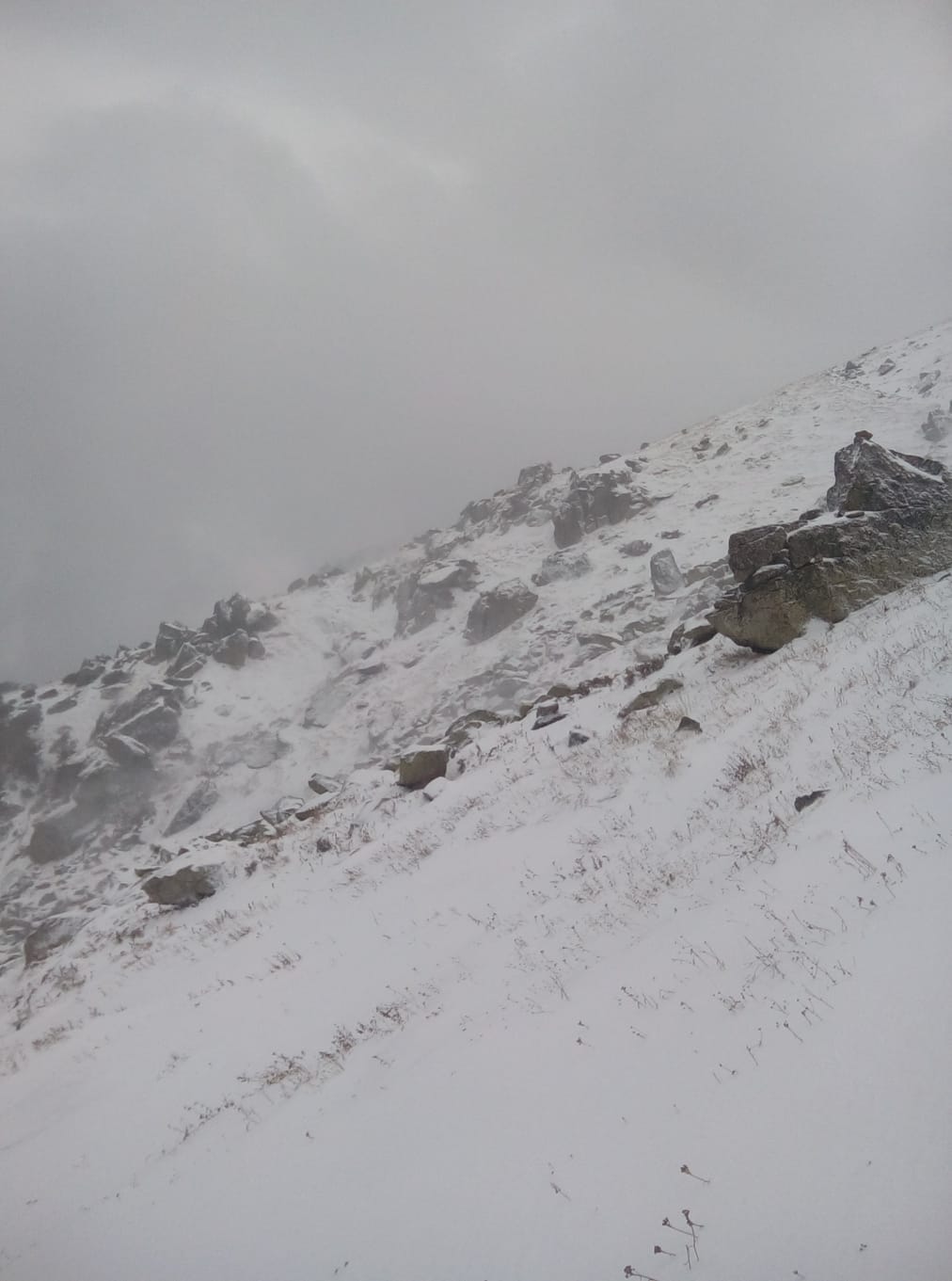 snowfall in kedarnath and rain in dehradun