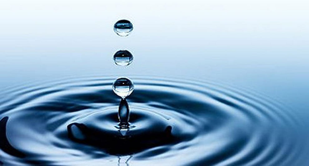 shulini university research, Now drumstick will purify water