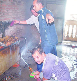 The couple created a chaos of fire blight, a serious