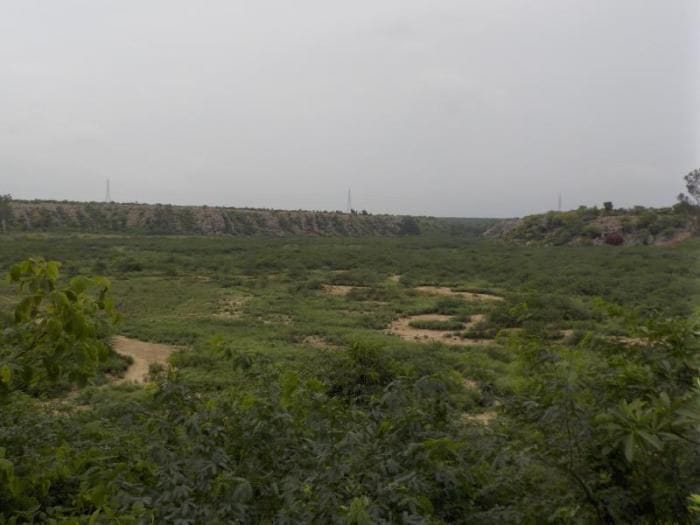 to save aravali range people are coming forward