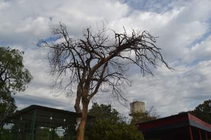 सुबह हुई बूंदाबांदी