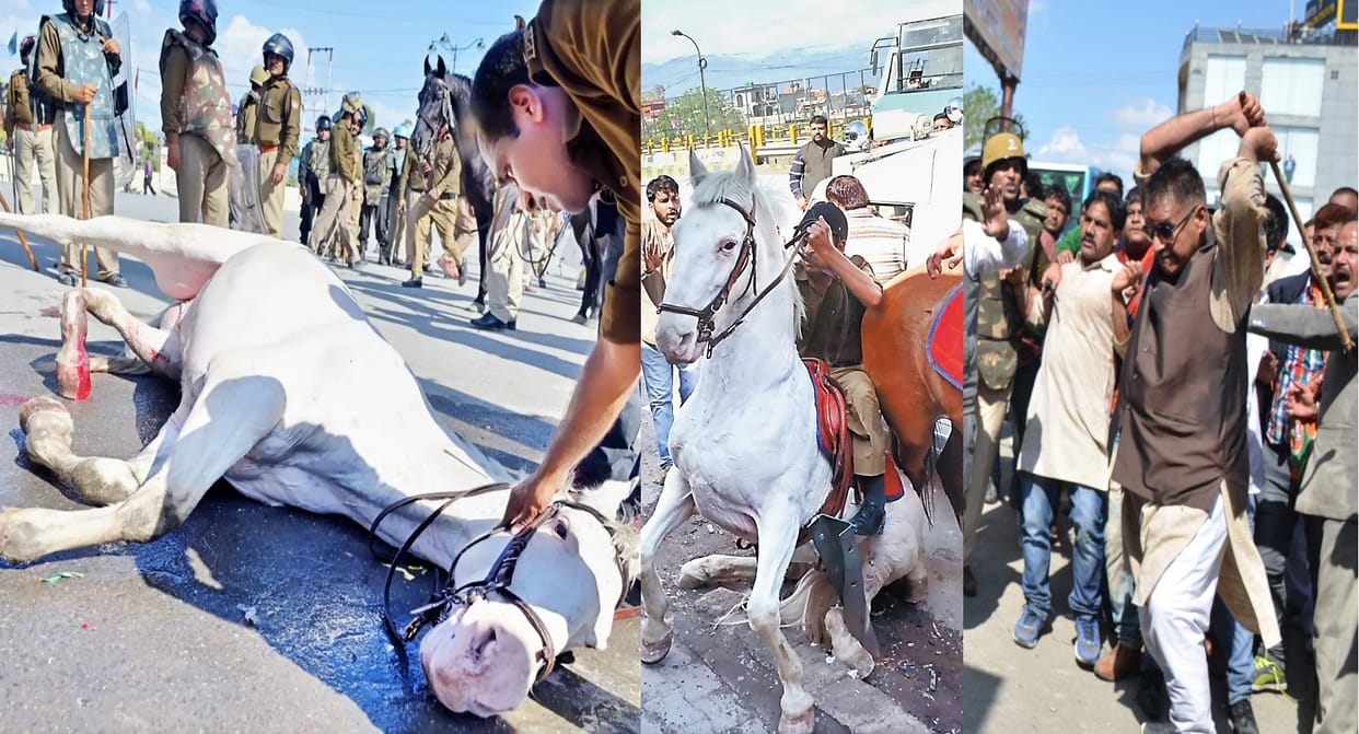 mussoorie BJP MLA ganesh joshi beaten horse