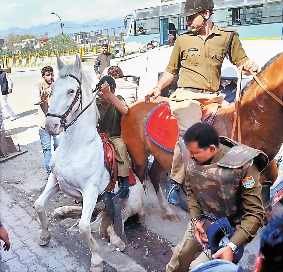 mussoorie BJP MLA ganesh joshi beaten horse