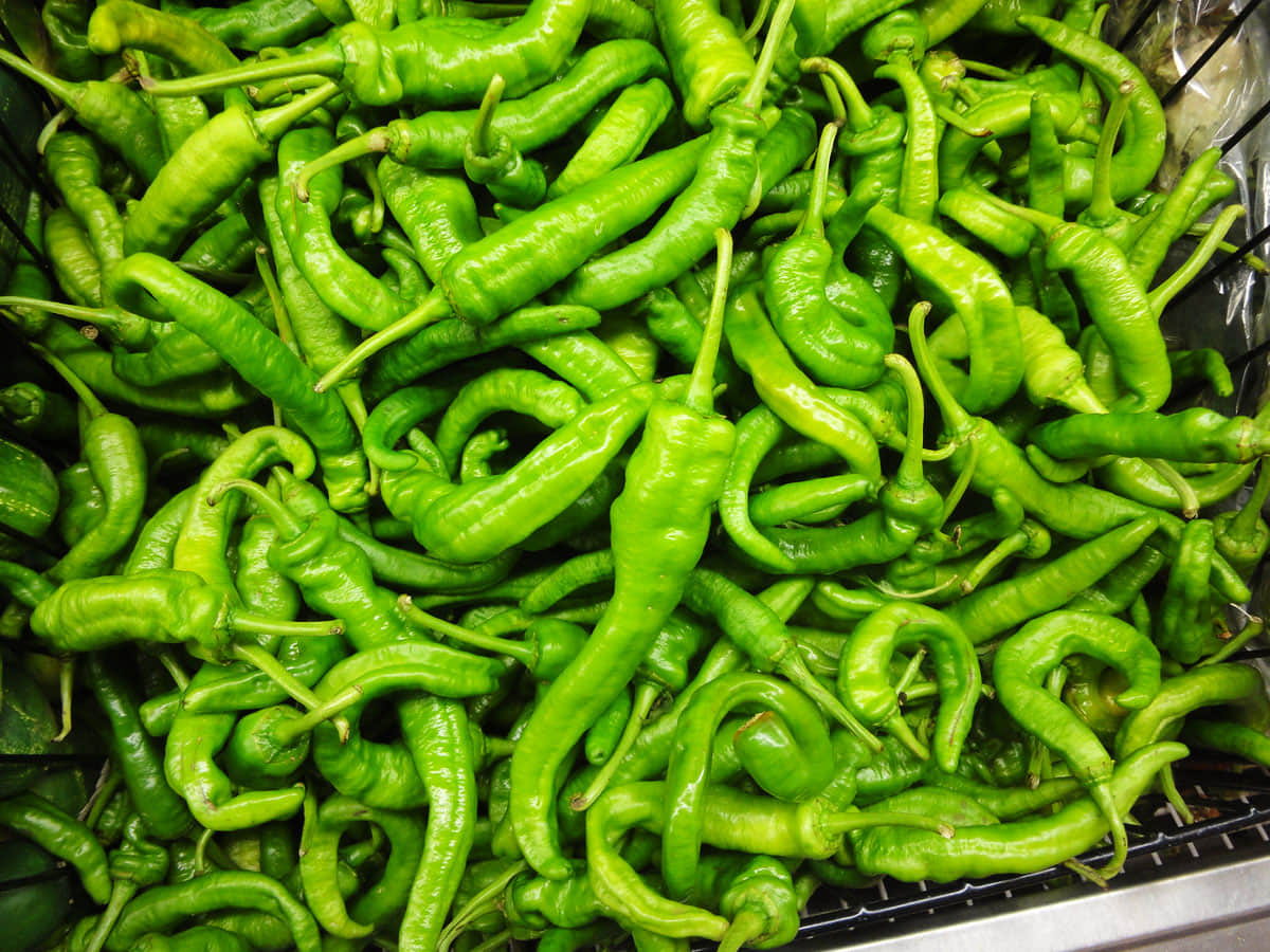 sex drive foods know how to enhance libido