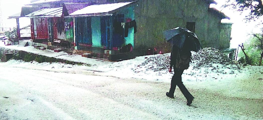 Hail vegetable growers face the withers