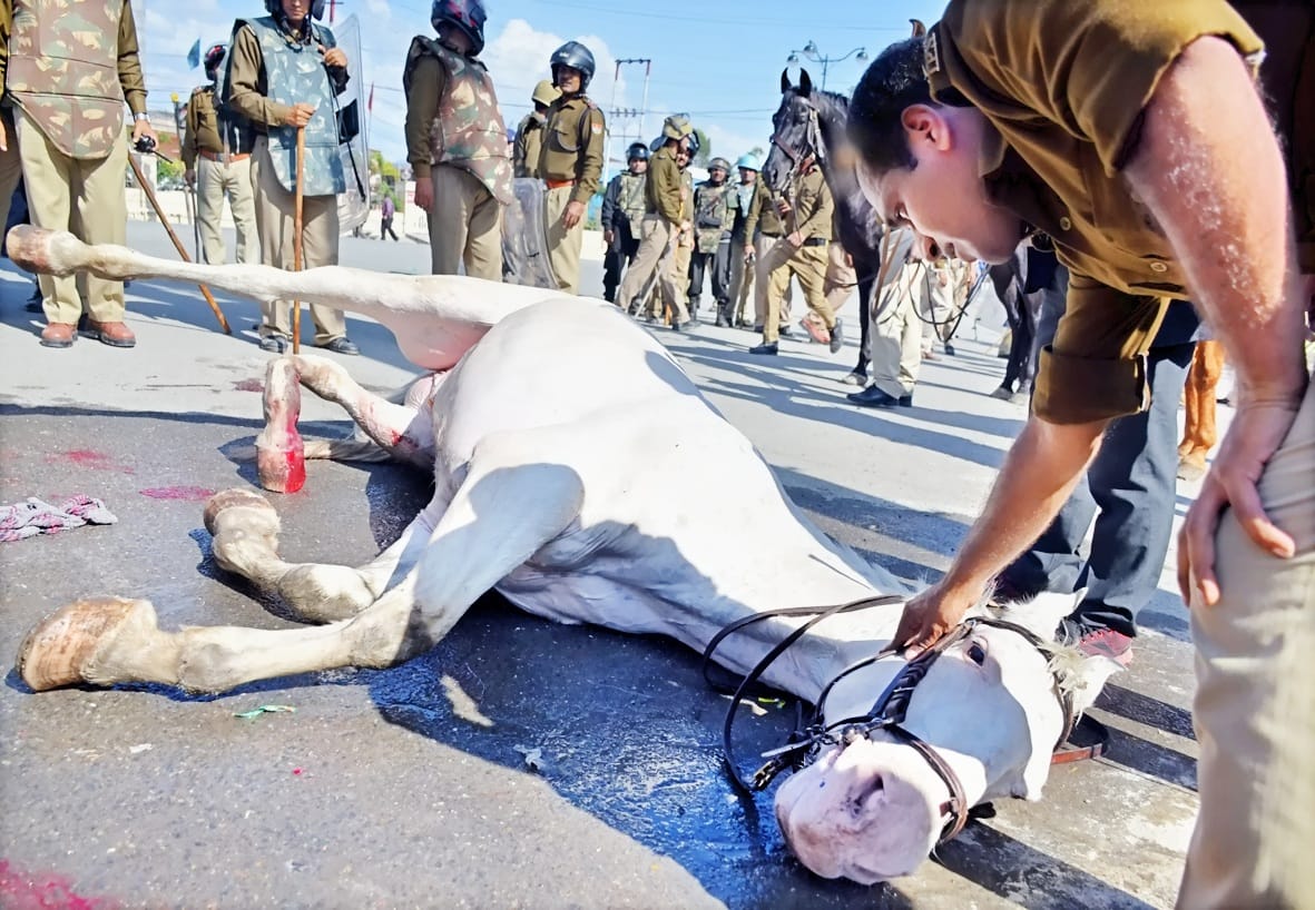 mussoorie BJP MLA ganesh joshi beaten horse