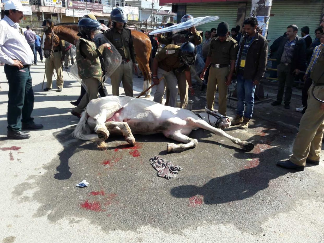 case registered on ganesh joshi in horse beaten case.