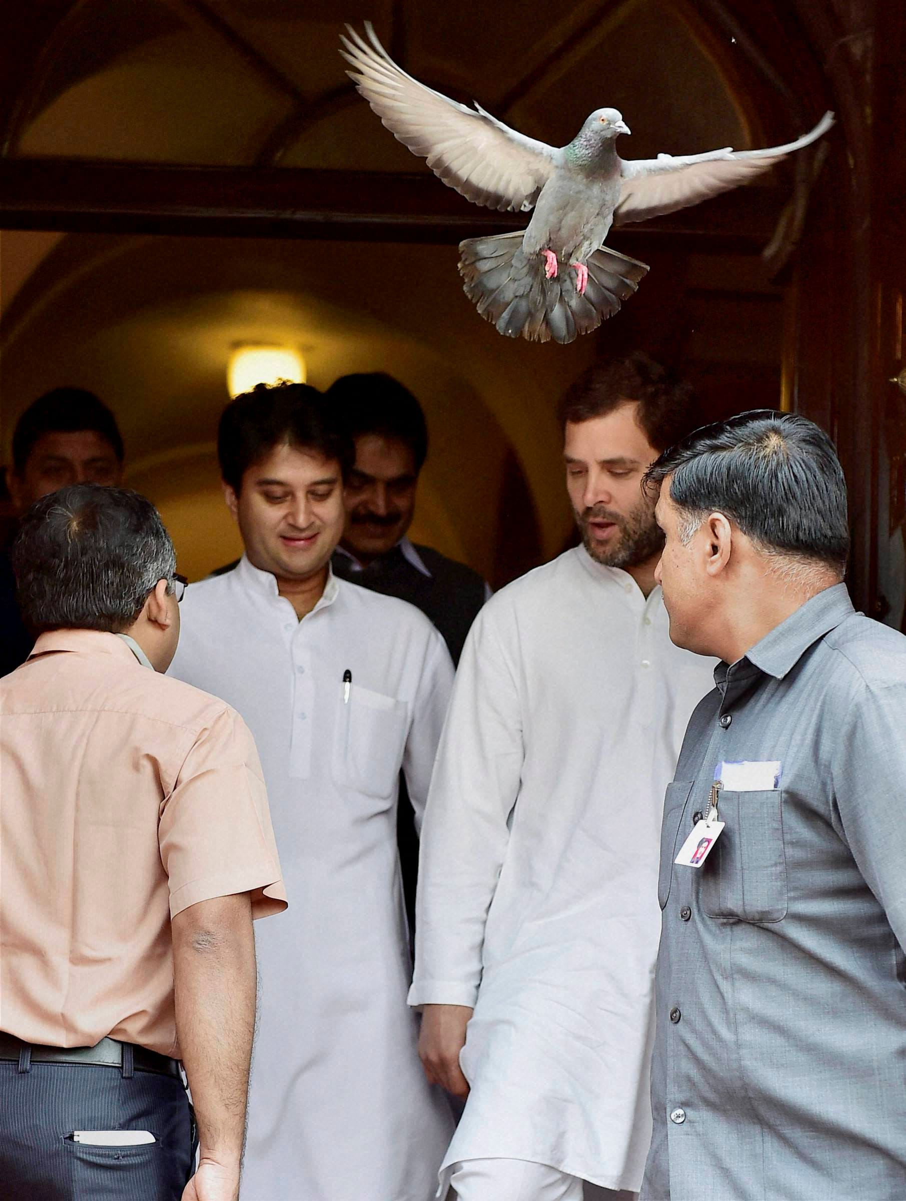 lite momnets of parliament during budget session