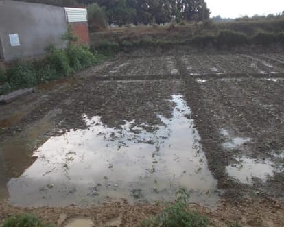 Rain created trouble in Uttar Pradesh.