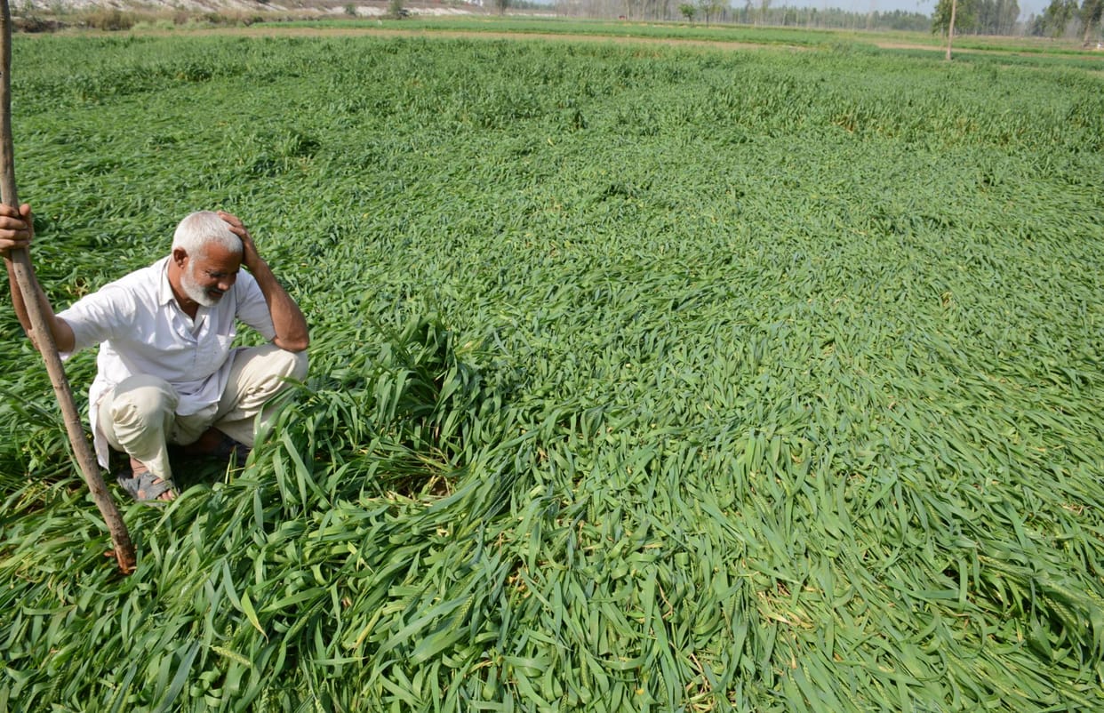 Jammu and Kashmir: Direct dialogue between farmers and buyers, a special platform is being prepared