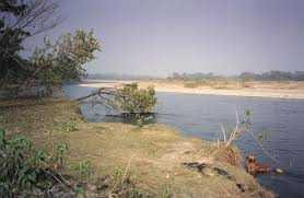 " Gange Namami under Ferries will be in Kcla
