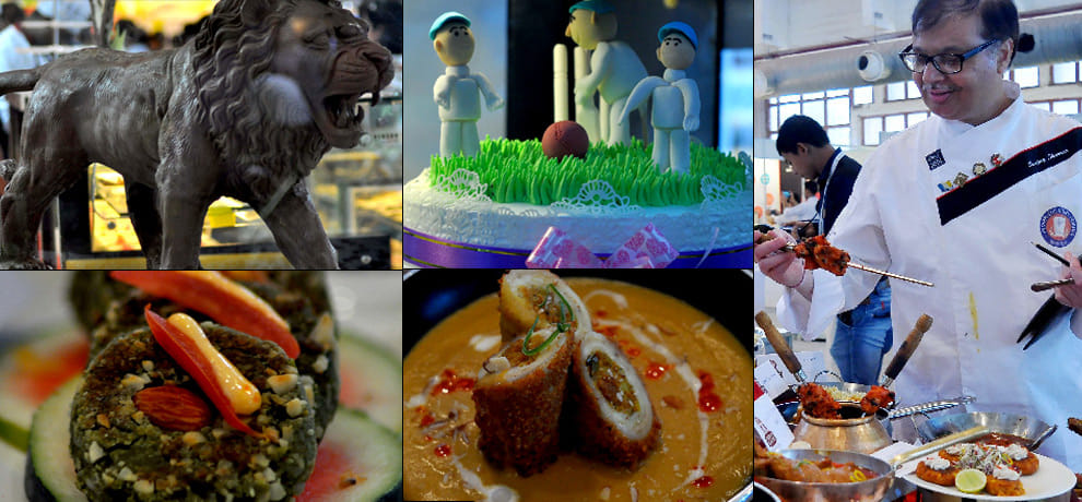 Lion of chocolate,  cricket cakes and delicious cuisine here