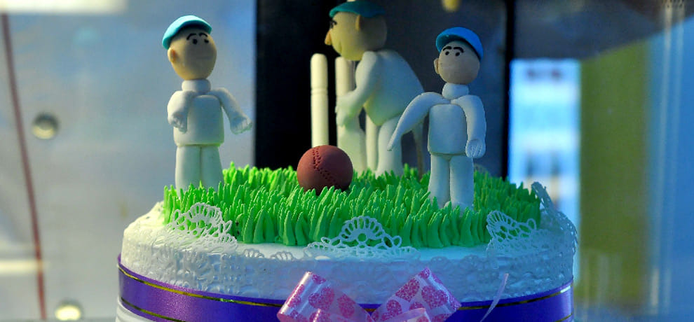 Lion of chocolate,  cricket cakes and delicious cuisine here