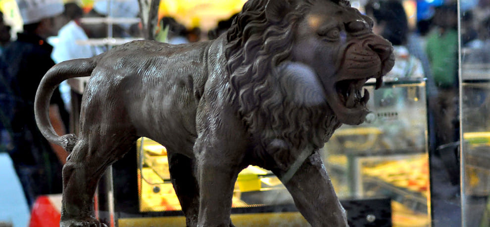 Lion of chocolate,  cricket cakes and delicious cuisine here