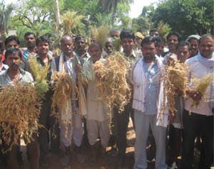 agriculture dezaster