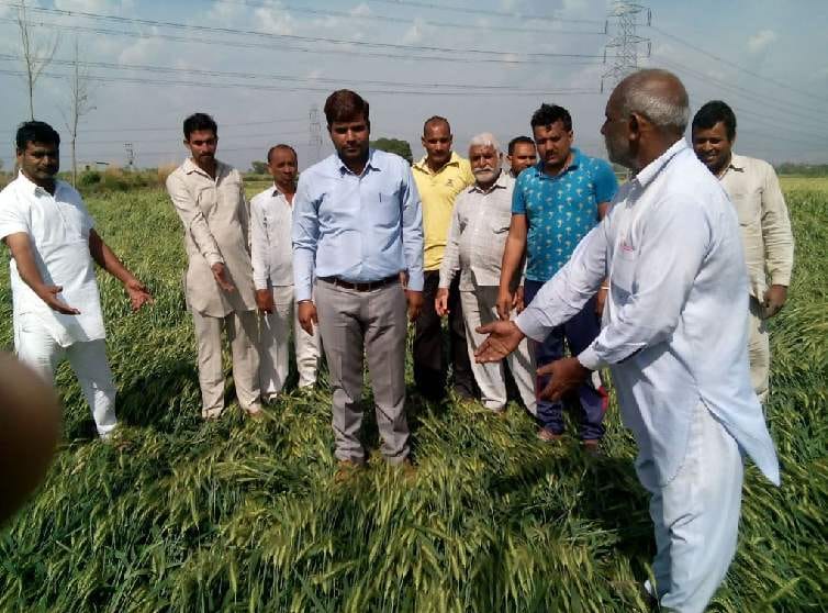 panchkula, Haryana government, compensation, given to farmers crops