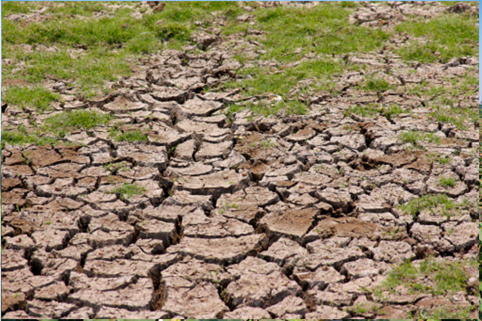 Horror stories people in this village are not celebrating holi from 100 years
