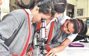 no one fail in primary board examination