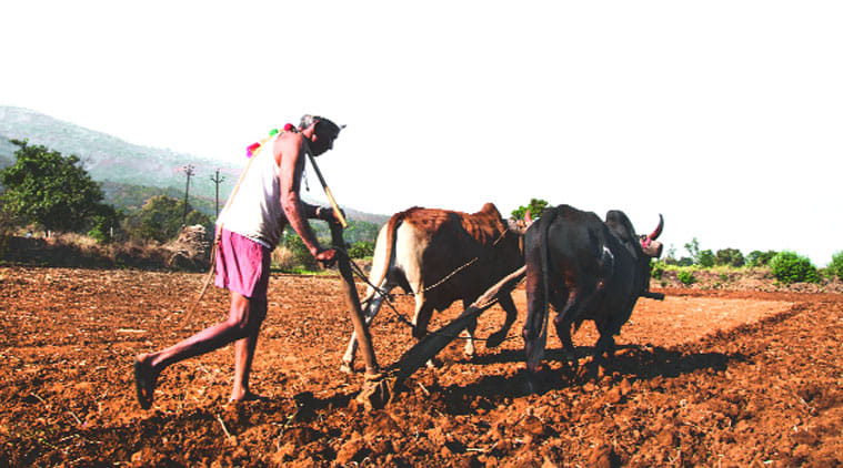 gurdaspur farmer fair, advice for farmer in gurdaspur, buisness advice for farmer, amritsar