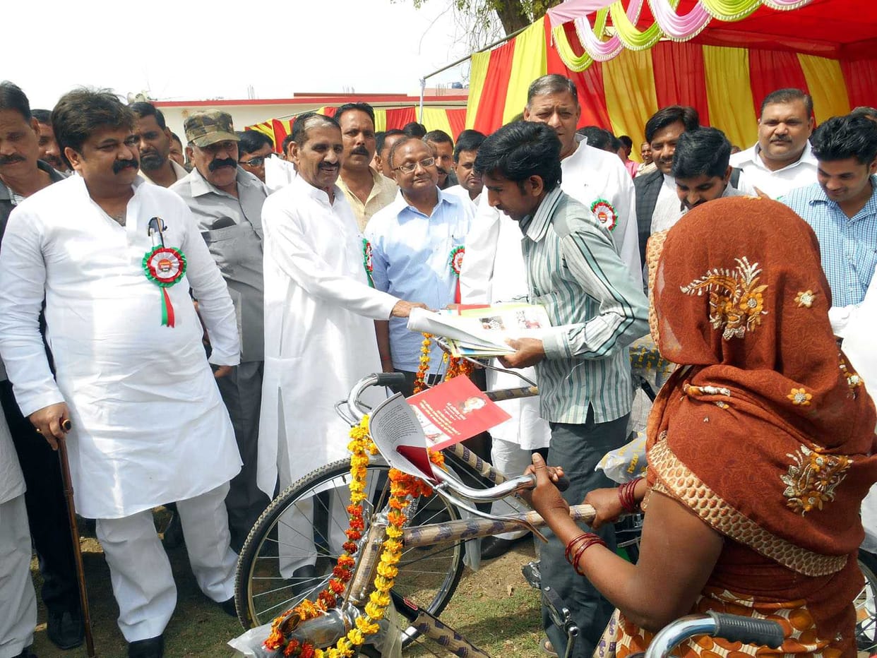 Government efforts in the development laid