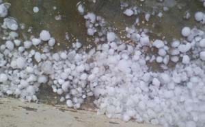 Haryana: Order for special Girdawari to assess crop damage due to hailstorm