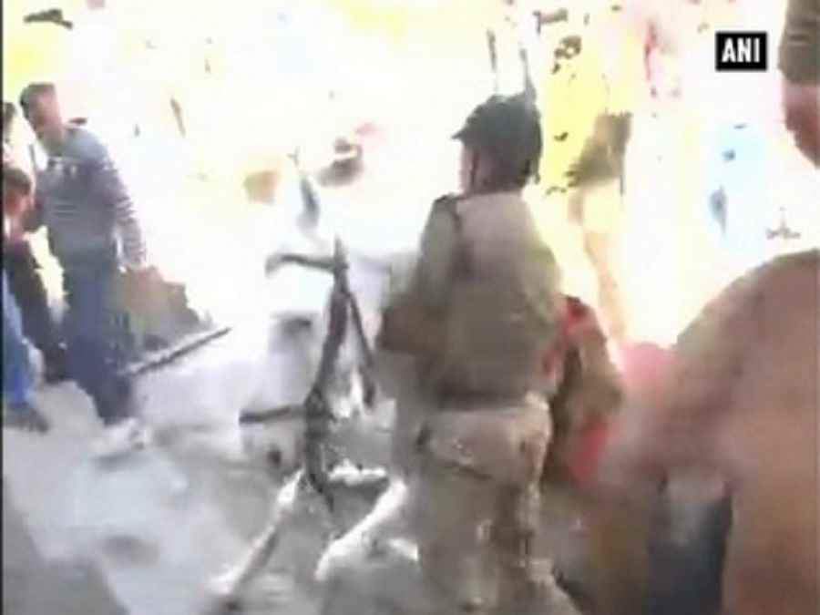 घोड़े की पिटाई