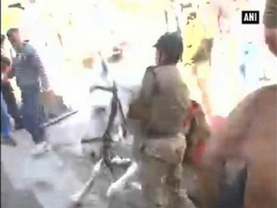 घोड़े की पिटाई