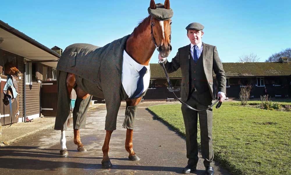 Horse wears three piece suit for race