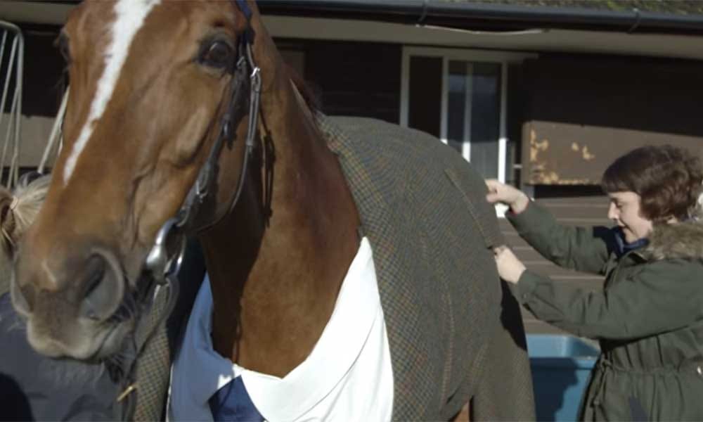 Horse wears three piece suit for race
