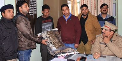 smuggler arrested with five tigers skin.
