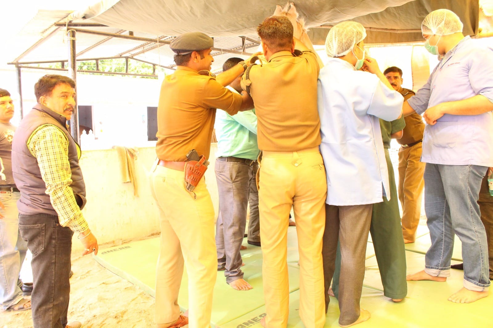 treatment of police horse, beaten by BJP MlA ganesh joshi.