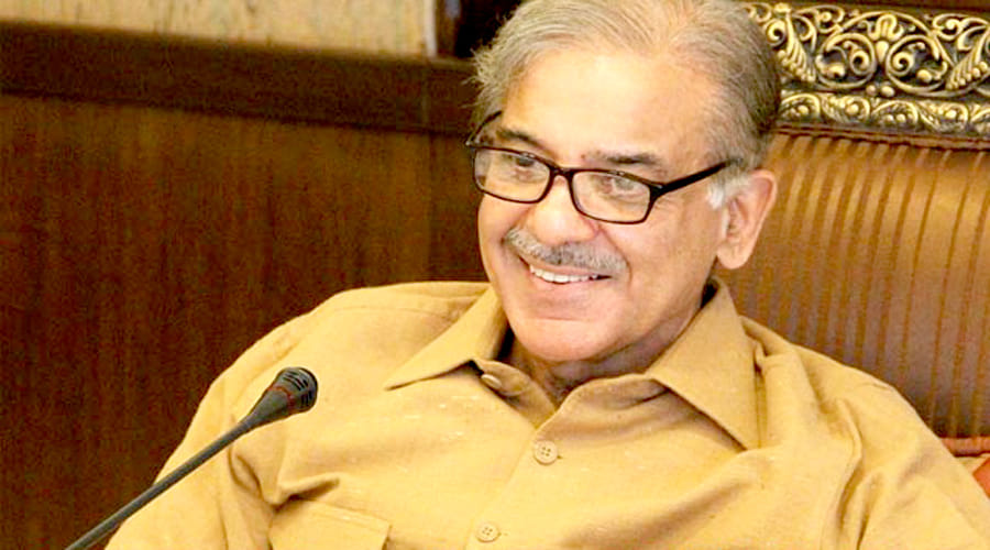 Shehbaz Sharif to be appointed as president of PML-N