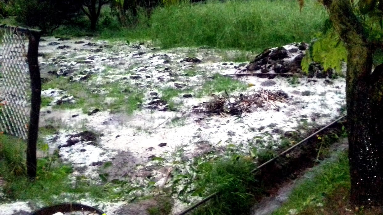 heavey rain in kullu distirc