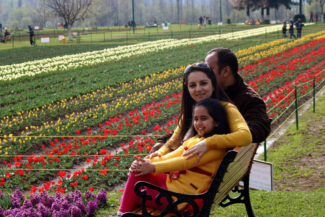 srinagar asias largest tulip garden to get open in first week of april jammu kashmir