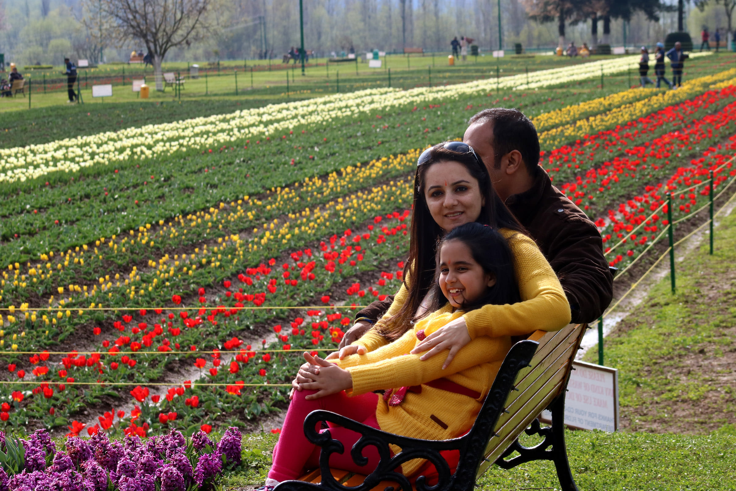 Tulip Garden Open for Tourist