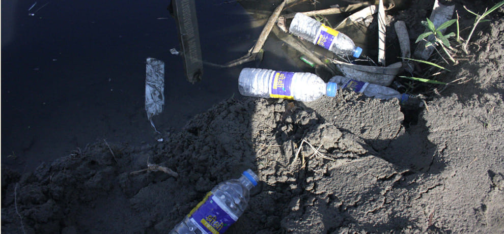 this is the yamuna situation after world cultural festival