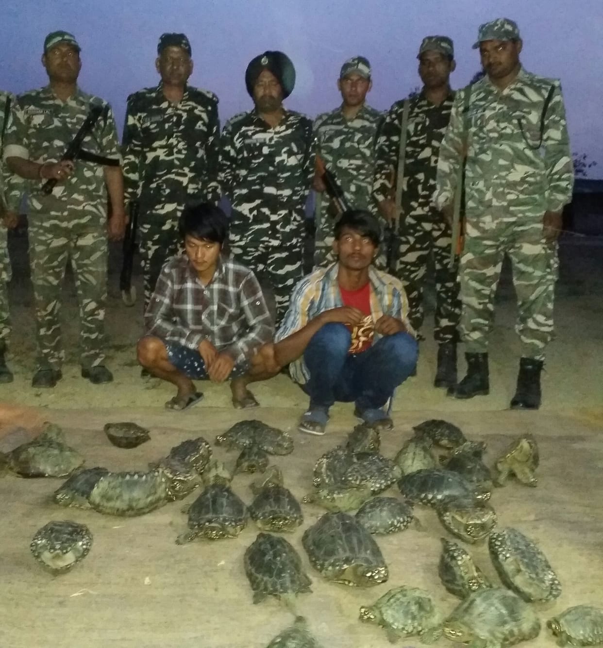  Two arrested with tortoises