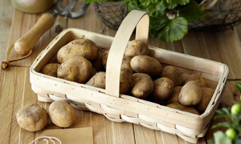 Foods You Shouldn't Keep in The Refrigerator