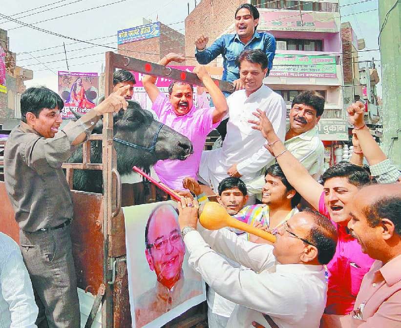 Sirsa News, Hindi News, politics, Tax, Aggitation, Excise, Budget, Goldsmith, Buffalo, Sirsa
