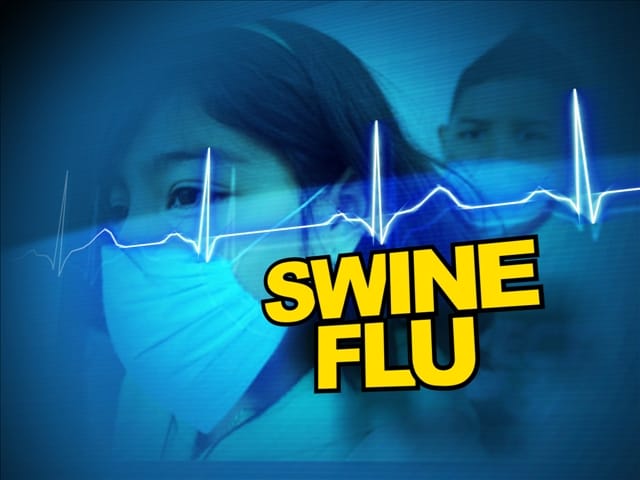 hindi story, Haryana news, helth, swain flu, Hisar