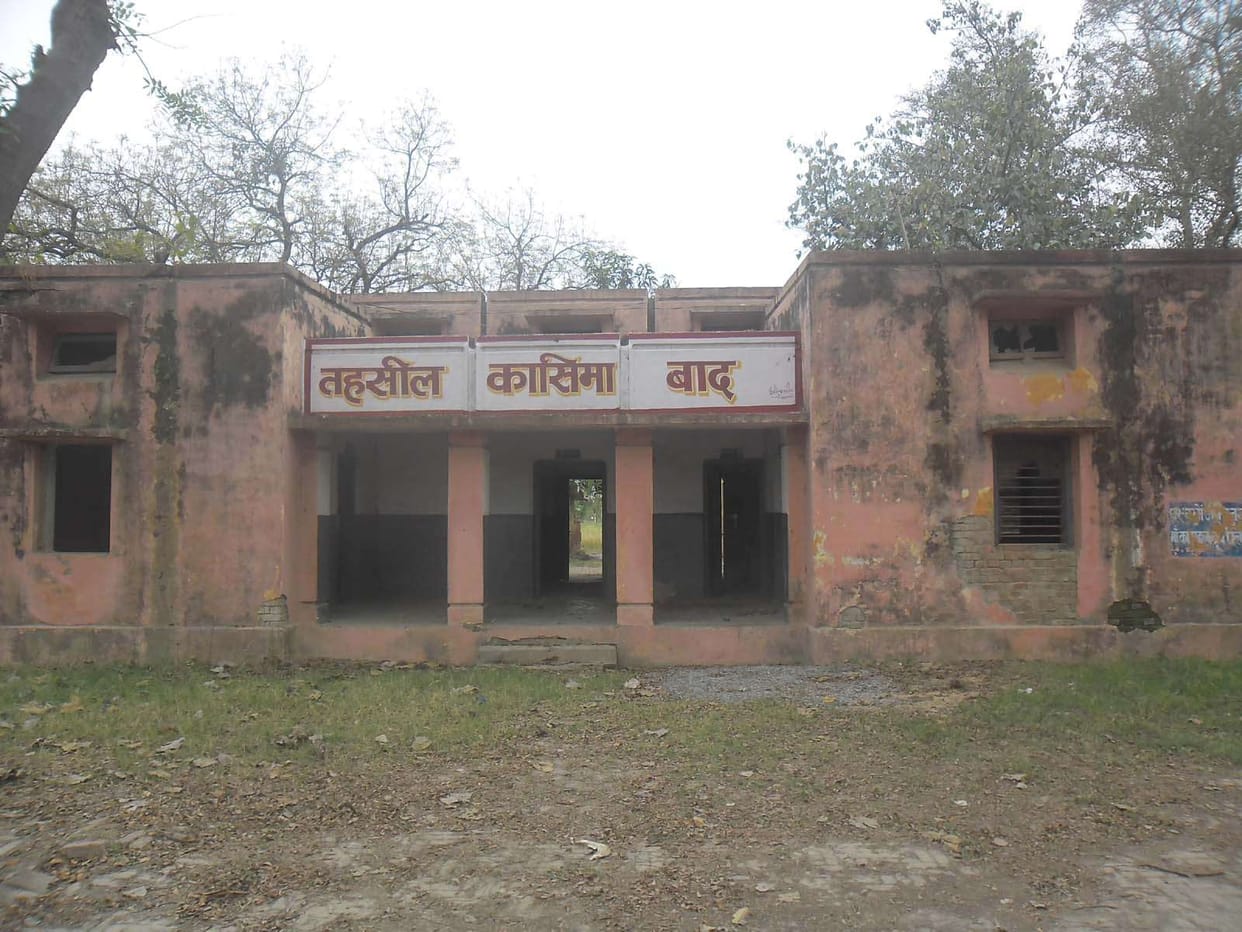 Holly will materialize later Tehsil Casimabad