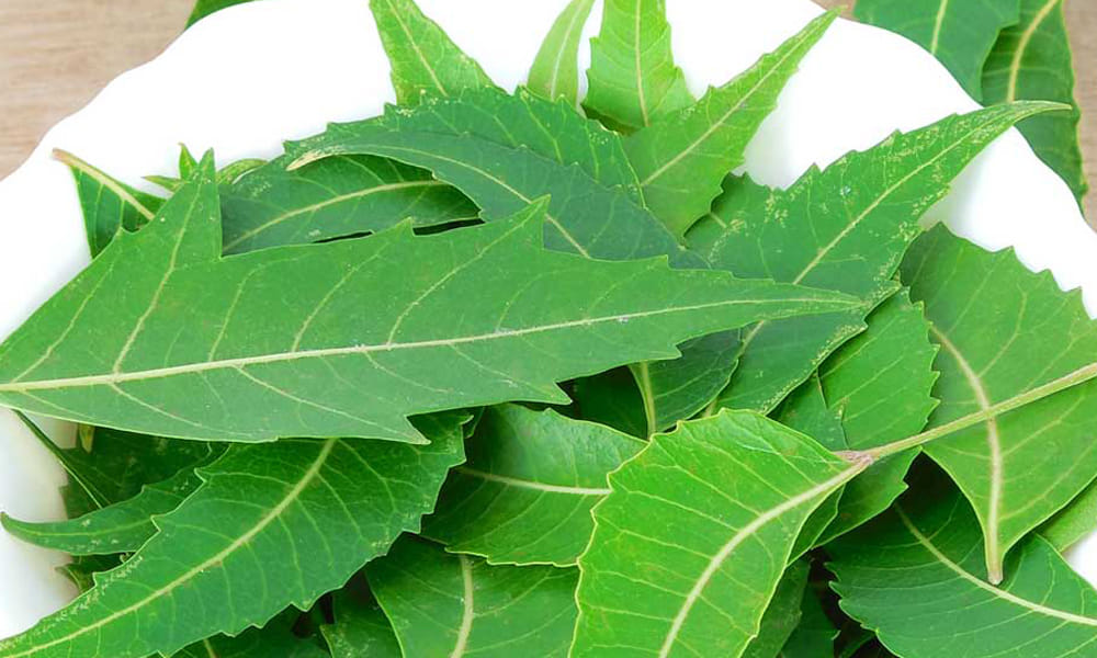 home remedies for dandruff