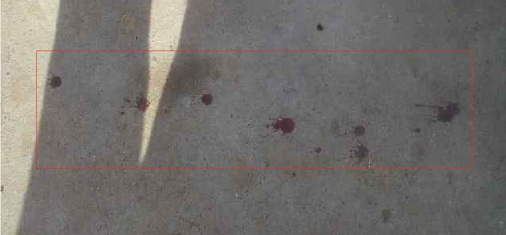 murder in ballia on holi