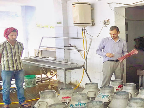 The three samples of milk including dairy
