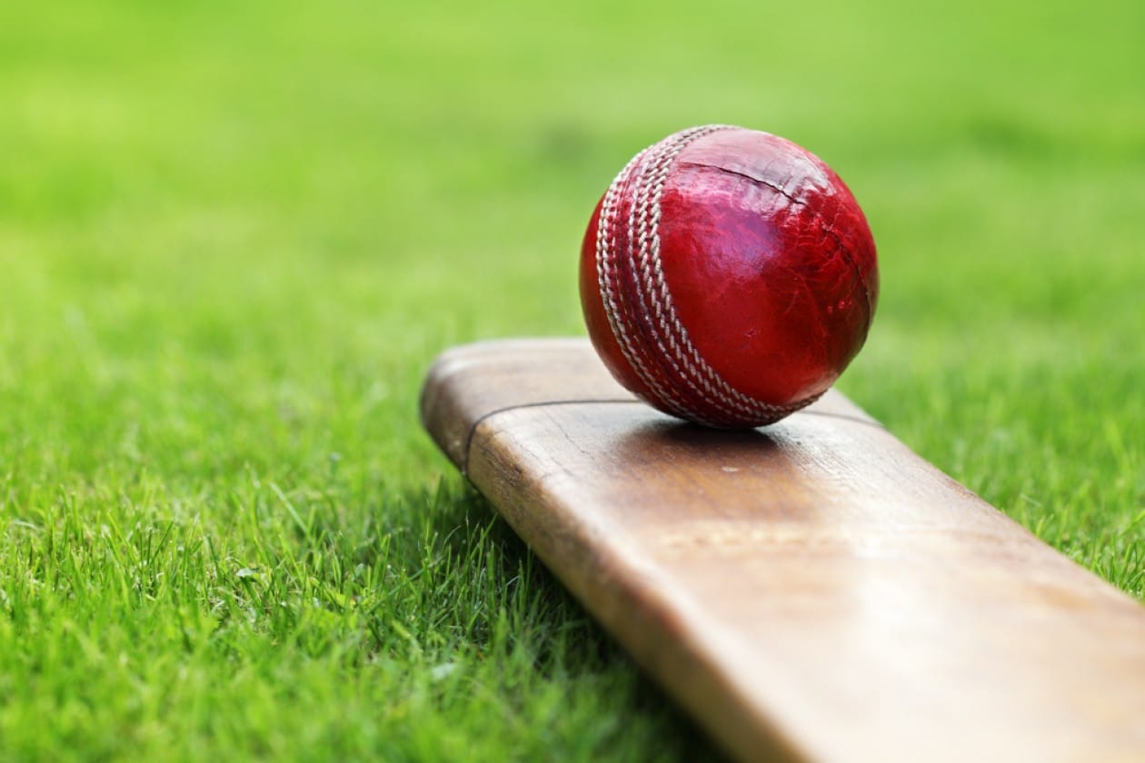 Uttarakhand will make bat villo tree for cricketers