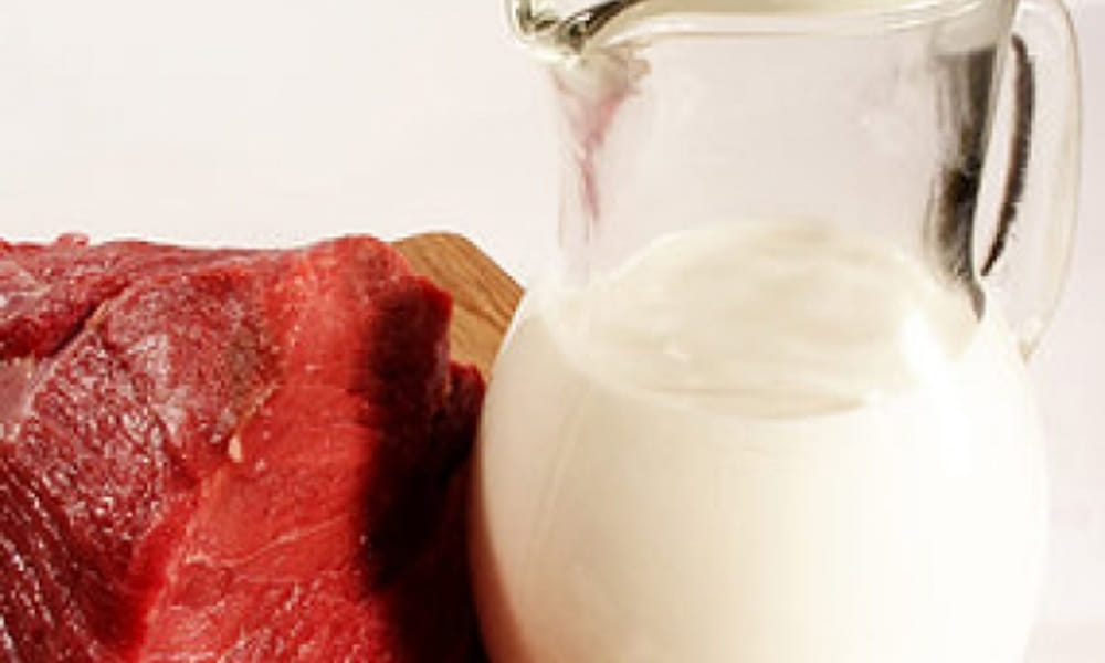 These Food Combinations Must be Avoided with Milk