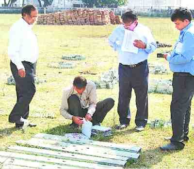 central  team reconstructed variegates cellar 