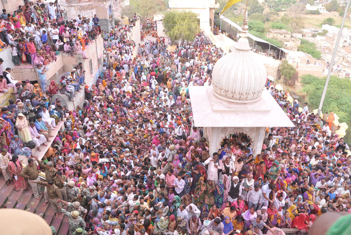 laddu holi celebrations in barsana mathura